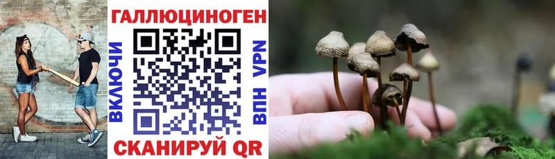 Псилоцибиновые грибы Psilocybe  купить закладку  Верхотурье 